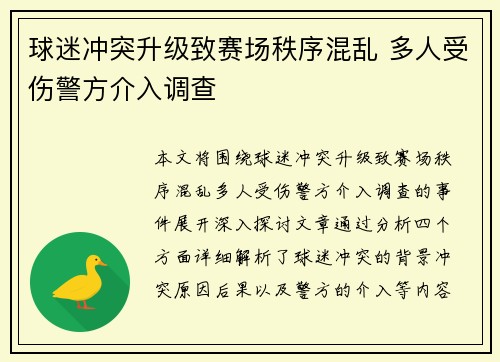 球迷冲突升级致赛场秩序混乱 多人受伤警方介入调查